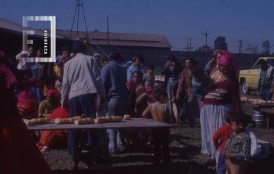 Colectividad de gitanos en Campana