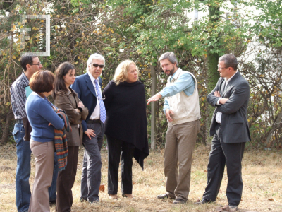 Presentación de estudios arqueológicos sobre la casa de la familia Costa 