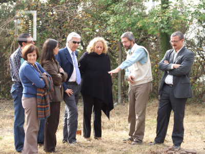 Presentación de estudios arqueológicos sobre la casa de la familia Costa 