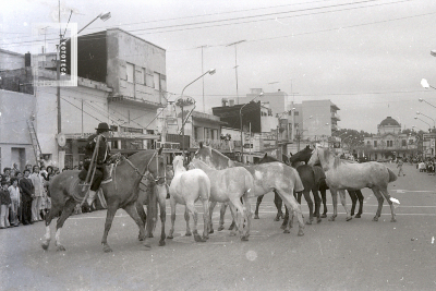 Aniversario de la ciudad de Campana