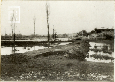 Costa del Río Paraná