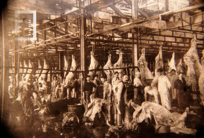 Galpón de matanza del frigorifico