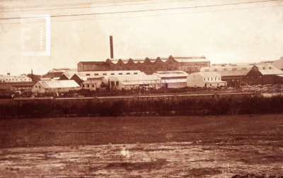 Vista del Frigorífico Reformer