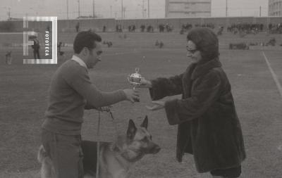 Exhibición destreza de perros en el estadio de Villa Dalmine