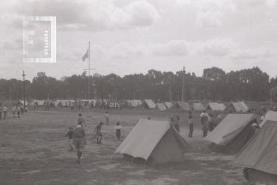 Niños Boy Scouts de campamento