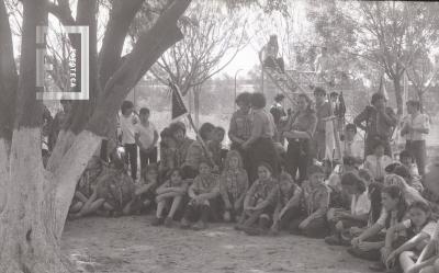 Niños Boy Scouts de campamento