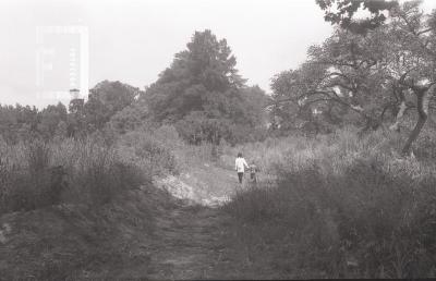 Estudiantes caminando en el Delta del Paraná