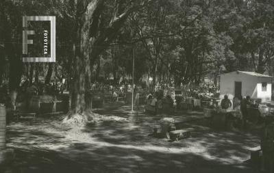 Balneario Municipal de Campana