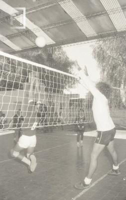 Torneos de voley en el barrio Del Pino
