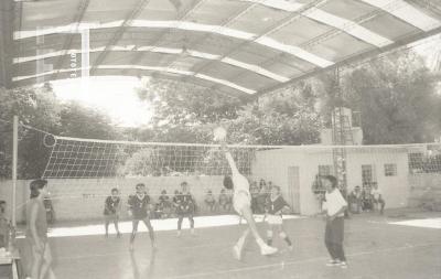 Torneos de voley en el barrio Del Pino